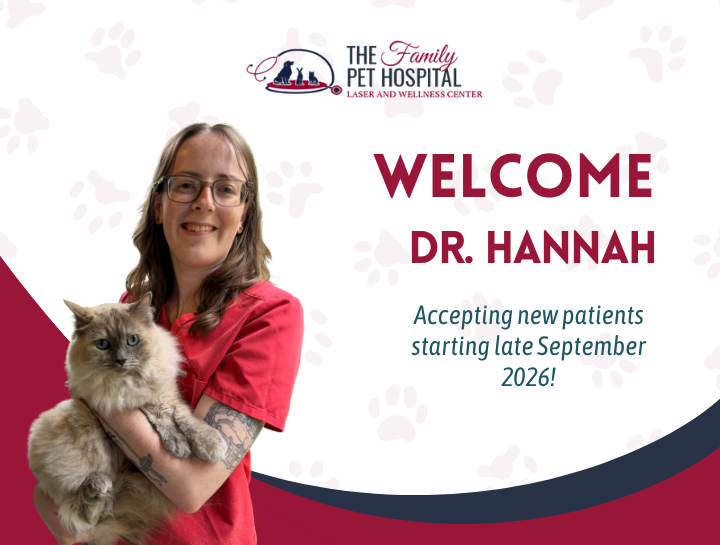 Welcome Dr. Hannah to The Family Pet Hospital!